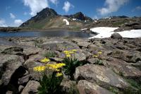 Gyumrì - Confine Armenia/Georgia (km 50)